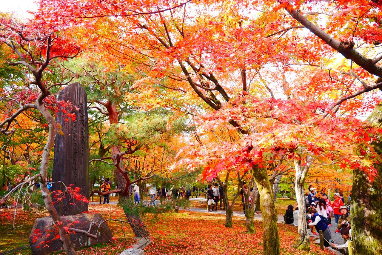 Japaning Hotel Libre Tofukuji Κιότο Εξωτερικό φωτογραφία